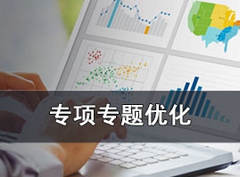 专项专题优化 专项专题优化